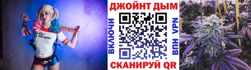 Купить закладки  Краснодар  МАРИХУАНА сатива 
